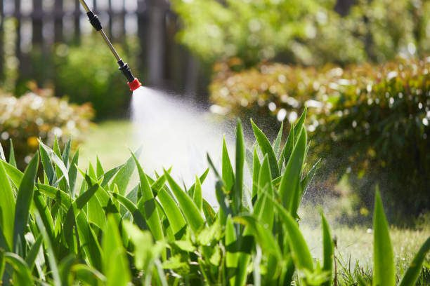 24/7 Emergency Mosquito Control experts in Woodland, CA